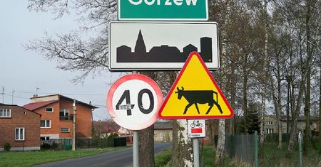 Czy wiesz, co oznaczają te znaki drogowe? Sprawdź się