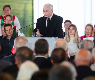 O czym zapomniał Kaczyński? Miażdżące oceny po jego słowach