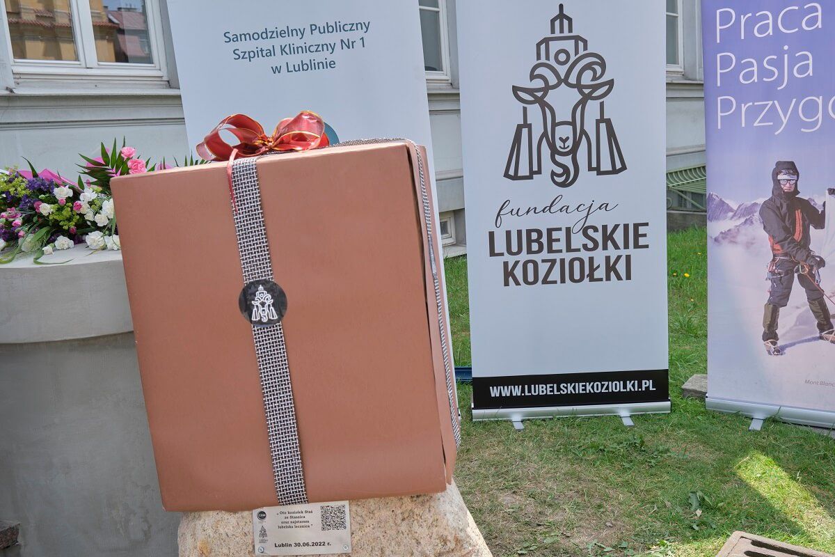 Koziołek Staś przy wejściu do szpitala SPSK nr 1 przy ul. Staszica