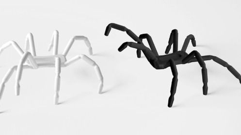 Podróżne pajęczaki 1