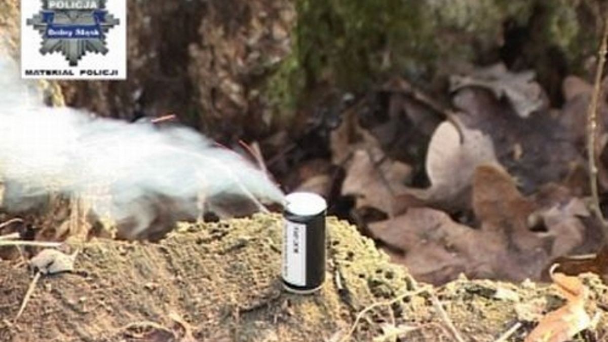 Zdjęcie ilustracyjne. 