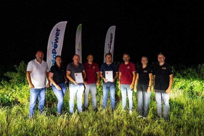 Józefów: Czarna porzeczka bije rekord. Prawie 20 ton z hektara