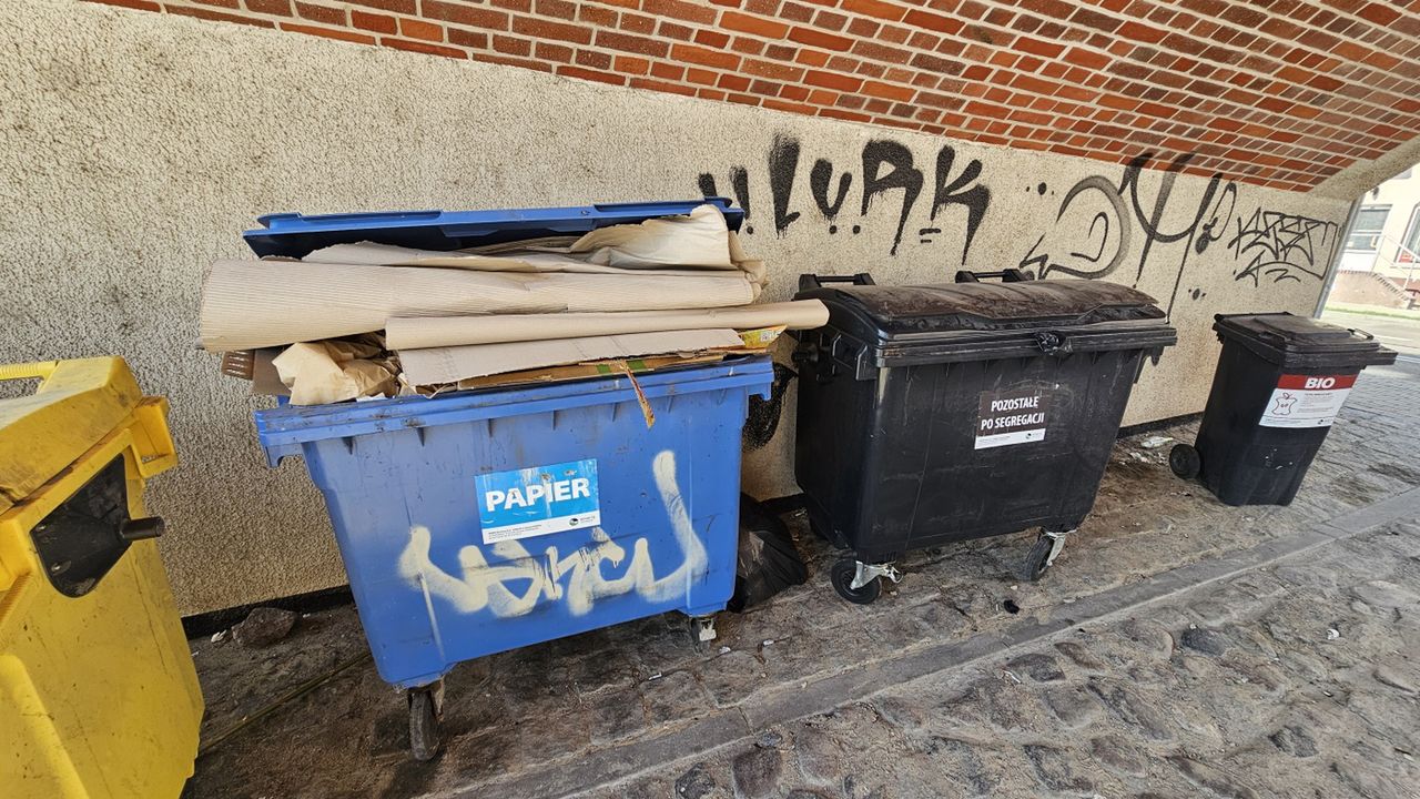 Gorzów: Nowe opłaty za śmieci. "Dla wielu będzie taniej"