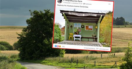 Skajboty. Nietypowy przystanek robi furorę w internecie