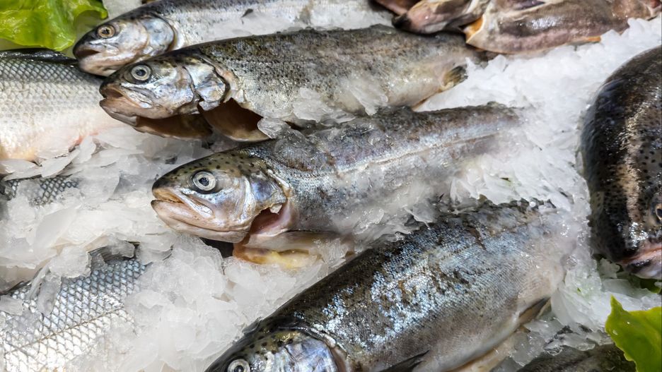 Tureckie pstrągi w supermarketach. Hodowcy tłumaczą etykiety