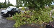 Tarnów: Gwałtowna burza w mieście i regionie. Silne podmuchy wiatru powaliły drzewa oraz ogrodzenie