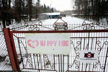 Dramat psów w schronisku w Sobolewie. Kilka lat temu apelowano o cofnięcie pozwolenia