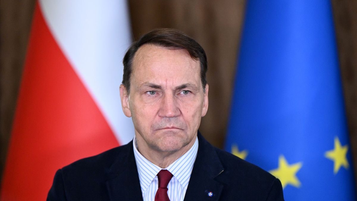 Vice Prime Minister and Minister of Foreign Affairs of the Republic of Poland, Radoslaw Sikorski, who is on a working visit to the Lviv region, participates in a joint briefing with the rector of the Ivan Franko National University of Lviv, Roman Gladyshevskii, in Lviv, Ukraine, on October 10, 2025. The Polish foreign minister accepts the Doctor Honoris Causa diploma from Lviv's Ivan Franko National University. (Photo by Anastasiia Smolienko/Ukrinform/NurPhoto via Getty Images)