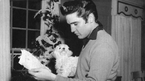 Muzycy również mają swoich pupili. Te rzadkie zdjęcia ukazują, jak bardzo je kochają 1