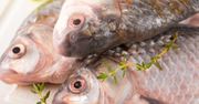 Jak wybrać najlepszą rybę? Kilka oznak, że mięso jest świeże