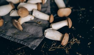 Suszenie grzybów w piekarniku. Jaką temperaturę i czas wybrać?