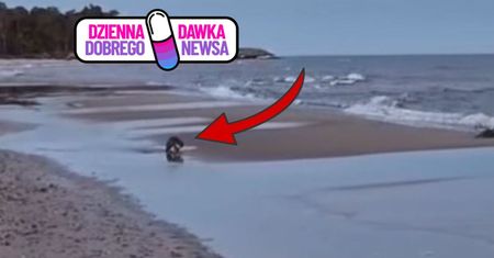 Nagle wpadła na plażę. "Niespotykane". Już 700 tys. wyświetleń
