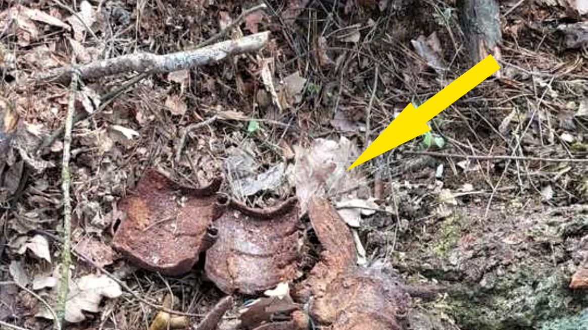 Leśnik znalazł to w lesie 