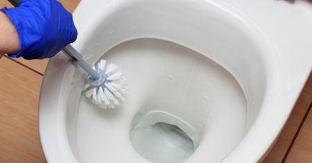 Wsyp do muszli klozetowej. W mig zapomnisz o żółtych smugach