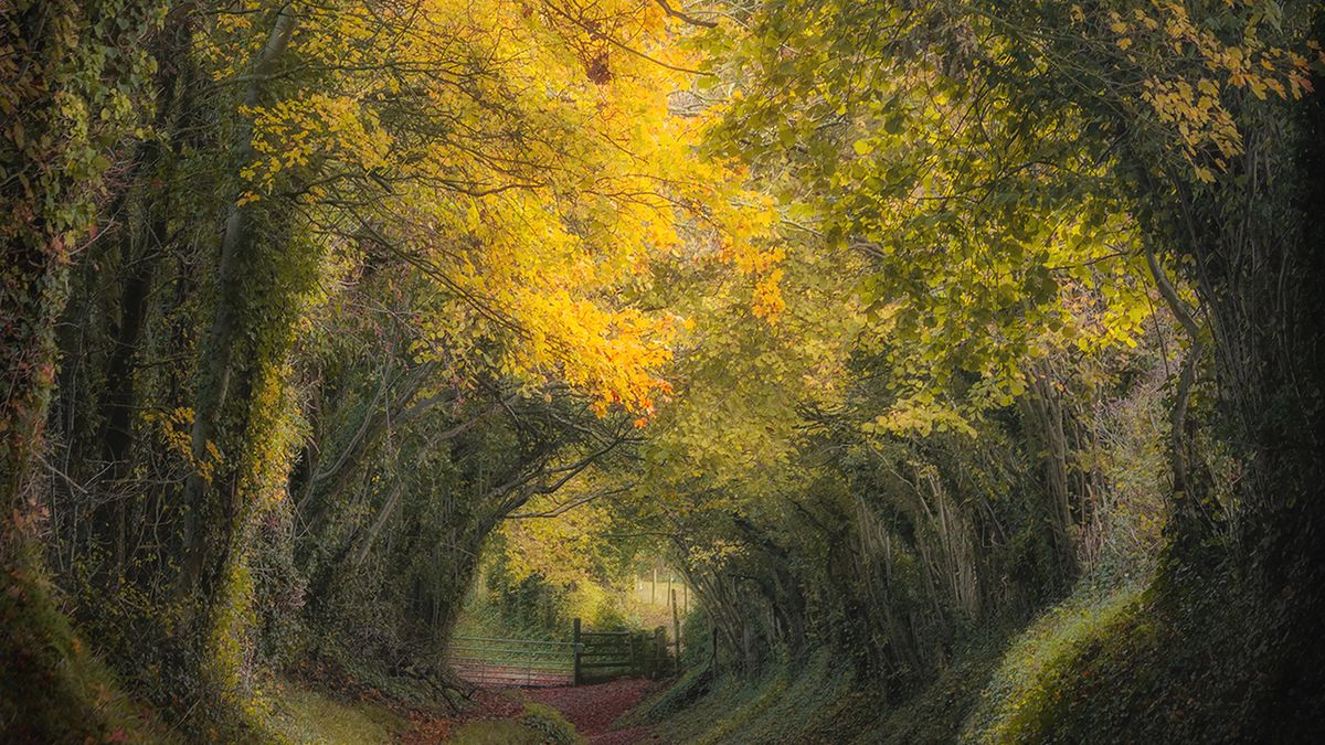 Nie musisz daleko jechać, by odbyć piękne podróże. Te zdjęcia ci pomogą 1