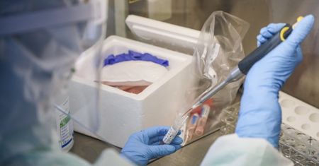 Koronawirus w Polsce. Blisko 900 nowych zakażeń. Dr hab. Ernest Kuchar: przedsmak tego, co czeka nas na jesieni