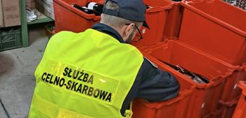 Wino bez akcyzy w Kaliszu. 450 litrów trunku i mandat dla winiarza