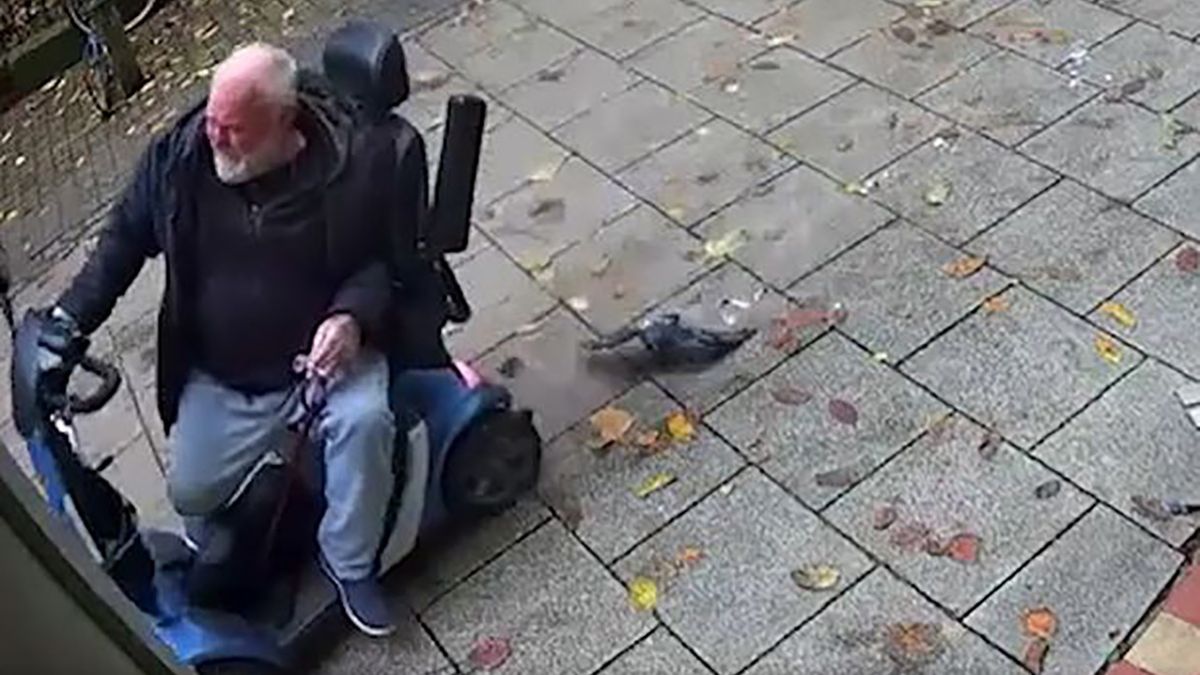 Emeryt zboczył z kursu i rozjechał gołębia na chodniku