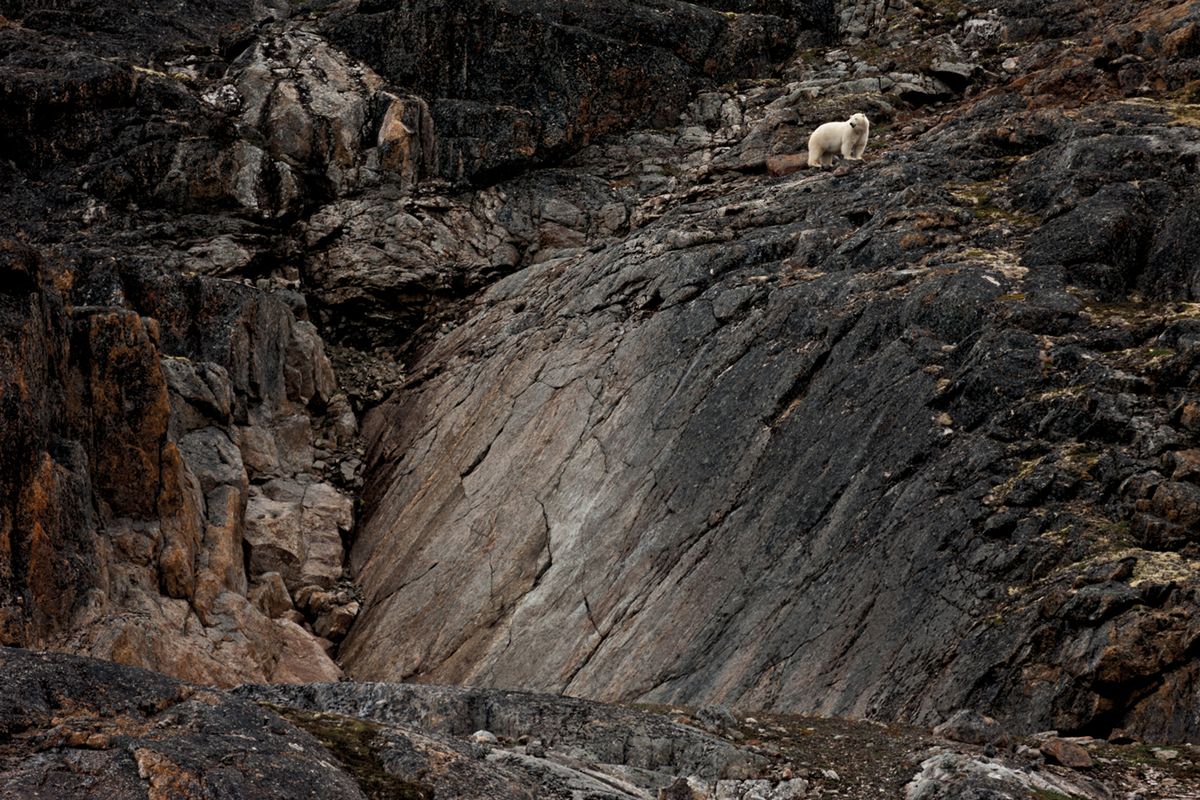 Piękne zdjęcia lodowców i okropna prawda o zmianach klimatu 11