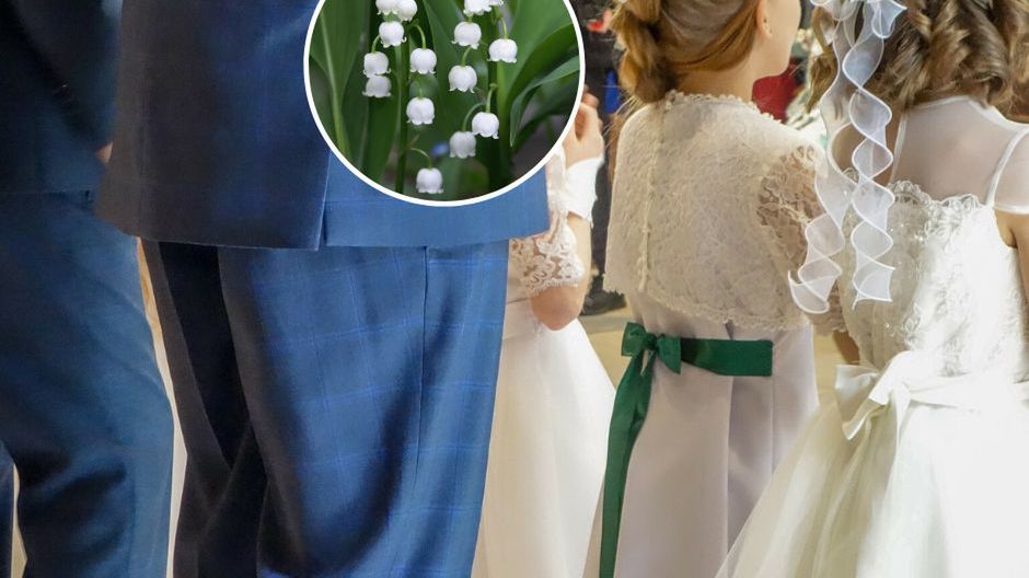 Popularne w sezonie komunijnym, a są szalenie niebezpieczne. Po tych objawach poznasz zatrucie