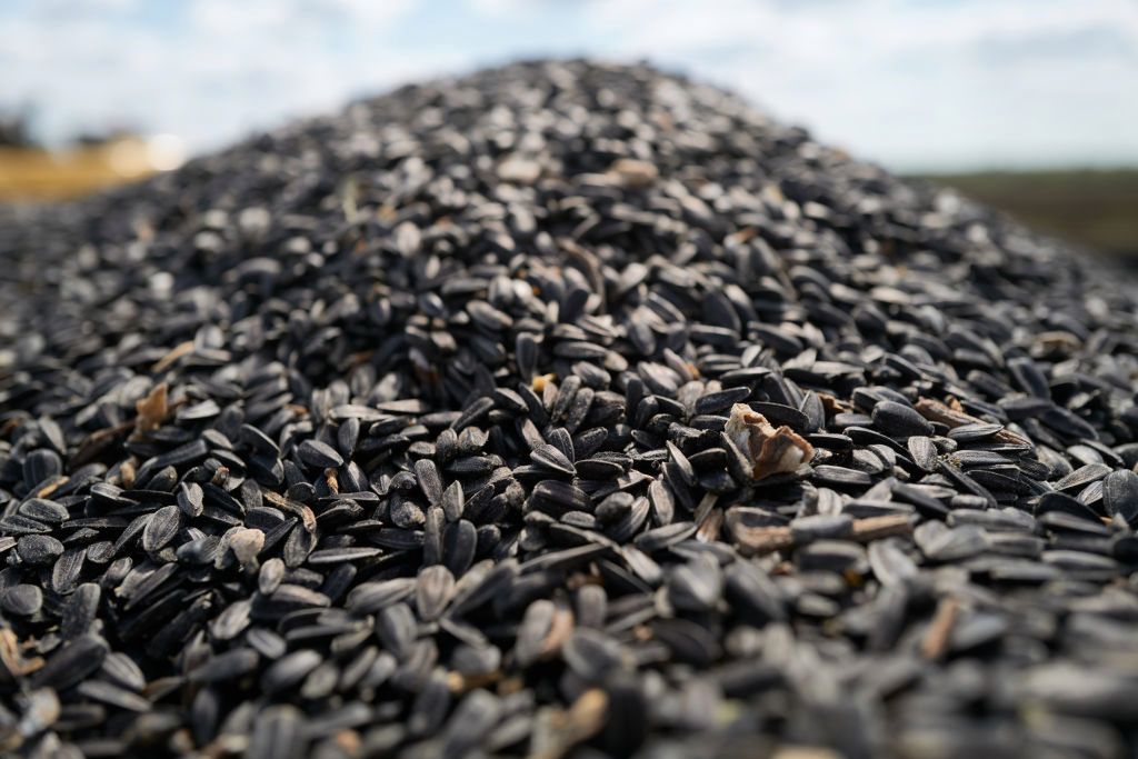 Serce je uwielbia. Zbijają "zły" cholesterol i ciśnienie