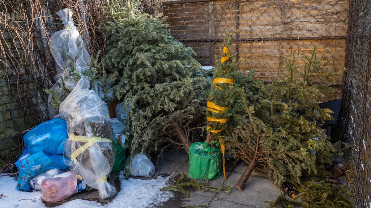 Jak ekologicznie pozbyć się choinki? 