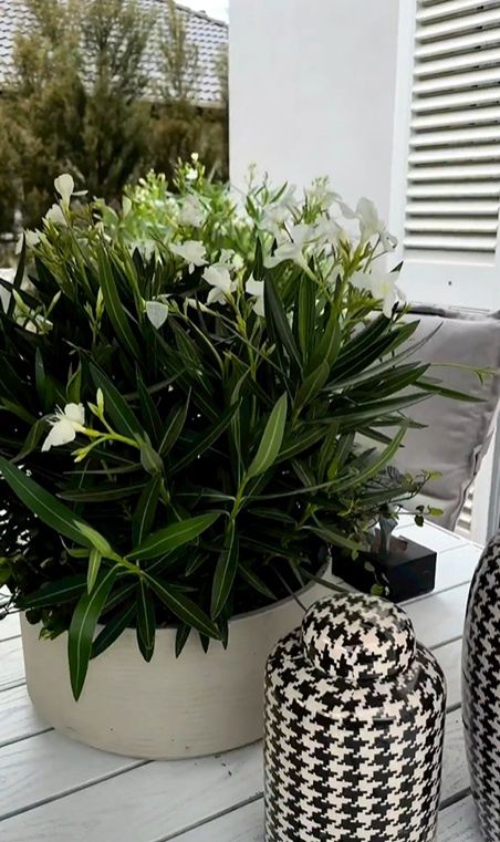 Rozenek kupiła kwiaty także na stół