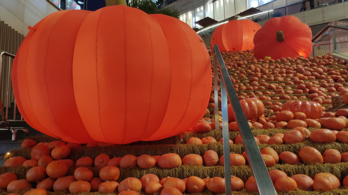 CHONGQING, CHINA - OCTOBER 30: The 20-meter-long stairway is decorated with 7500 kilograms pumpkins prior to Halloween on October 30, 2023 in Chongqing, China. (Photo by Fan Yonggen/VCG via Getty Images)