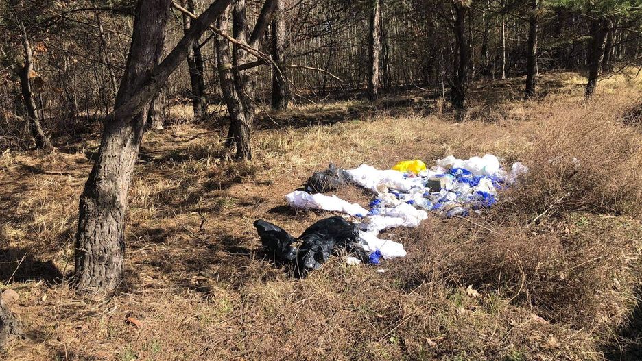 Leśniczy w szoku. Niebezpieczne znalezisko w Poznaniu