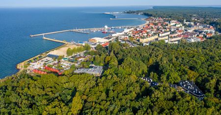 Zbliża się masowa wycinka. Coraz bliżej kontrowersyjnej inwestycji