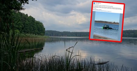 To nie fotomontaż. Utknęła w jeziorze Niedzięgiel