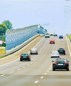 Rekordzista w łapaniu kierowców. Wystawili mandaty na ponad 30 mln zł