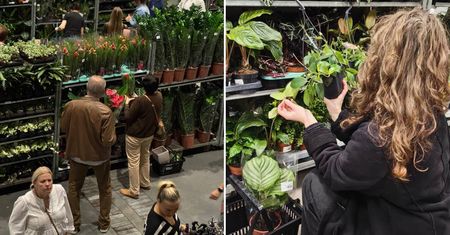 Festiwal Roślin wraca do Lublina. Wiosenna edycja już 28-29 marca w Targach Lublin