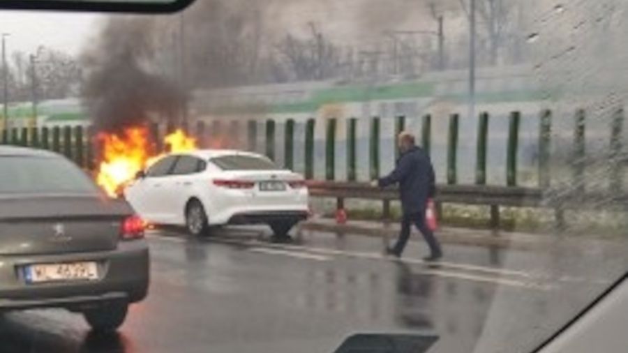 Zdjęcie nadesłane przez czytelnika