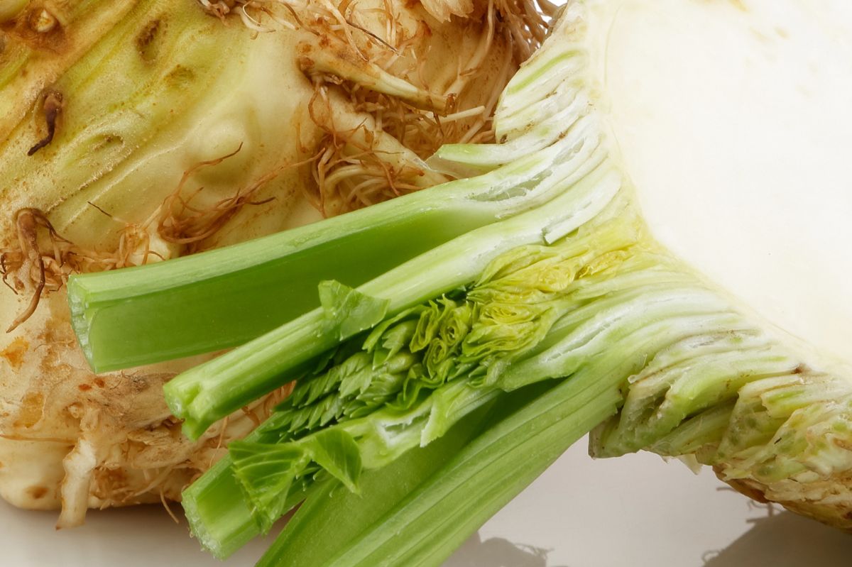Boost your New Year's Eve salad and health with celeriac, celery's overlooked cousin