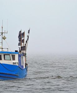 Normy przekroczone. Niepokojące wyniki badań ryb z Bałtyku
