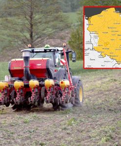 Plantatorzy drżą przed kolejną nocą. Te rośliny mogą ucierpieć najbardziej