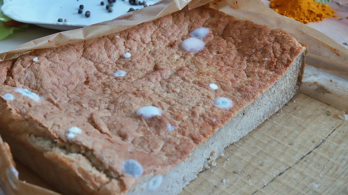 Pleśń na jedzeniu — czy jest szkodliwa?