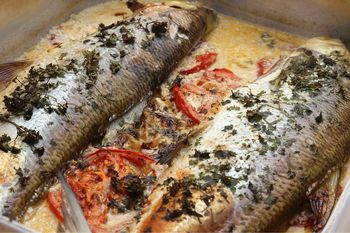 Ta ryba żyje tylko w najczystszych polskich jeziorach. Prawie nie ma ości, a jej mięso jest delikatne i smaczne