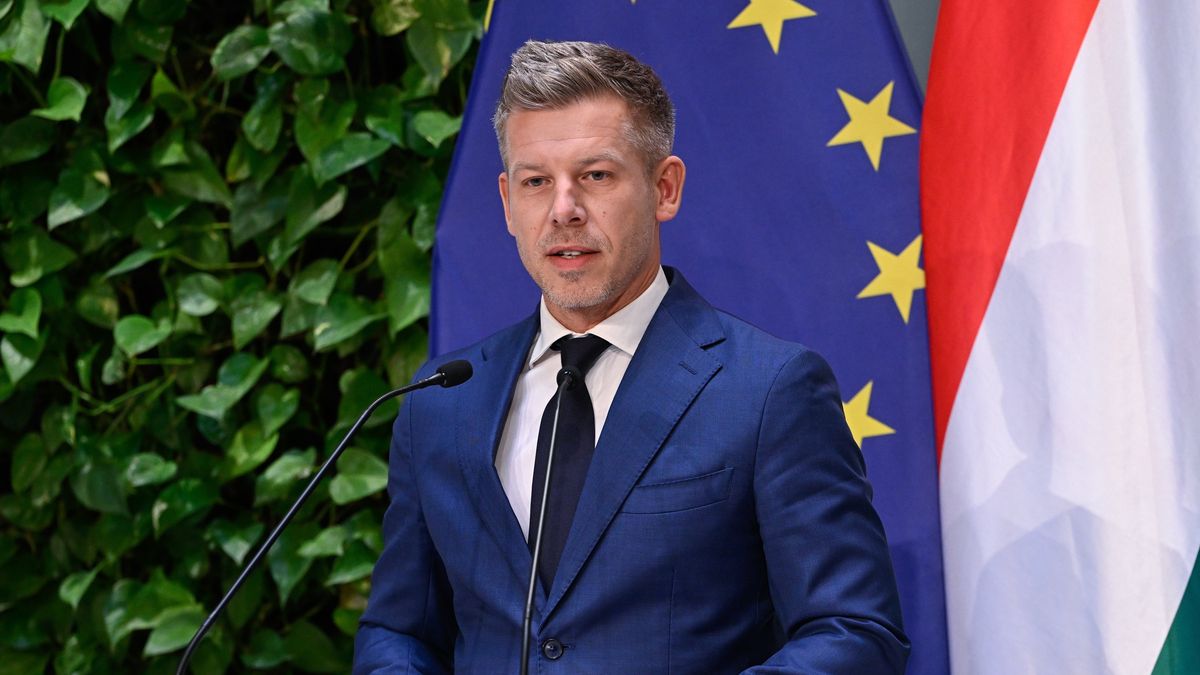 Peter Magyar 