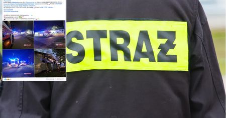 Kilkudziesięciu strażaków w akcji. Paliła się Biedronka