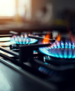 Wielka rewolucja ws. cen gazu już za dwa lata. Gospodarstwa domowe przestaną być chronione