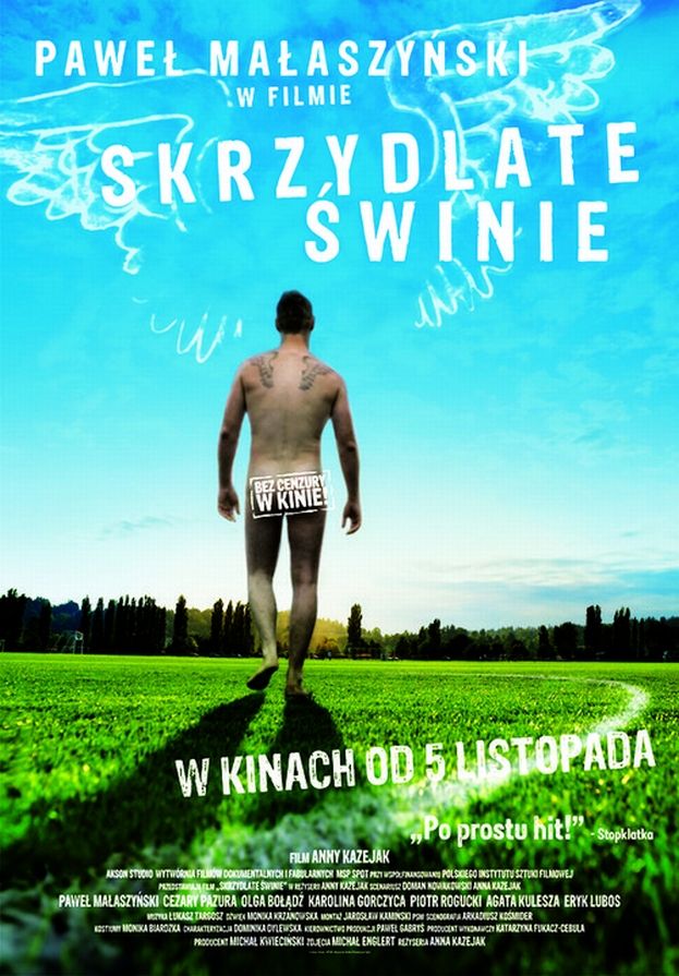 Obraz