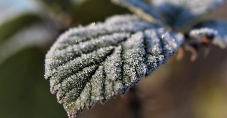 IMGW: Uwaga na przymrozki! Dzisiejszej nocy temperatura spadnie poniżej zera