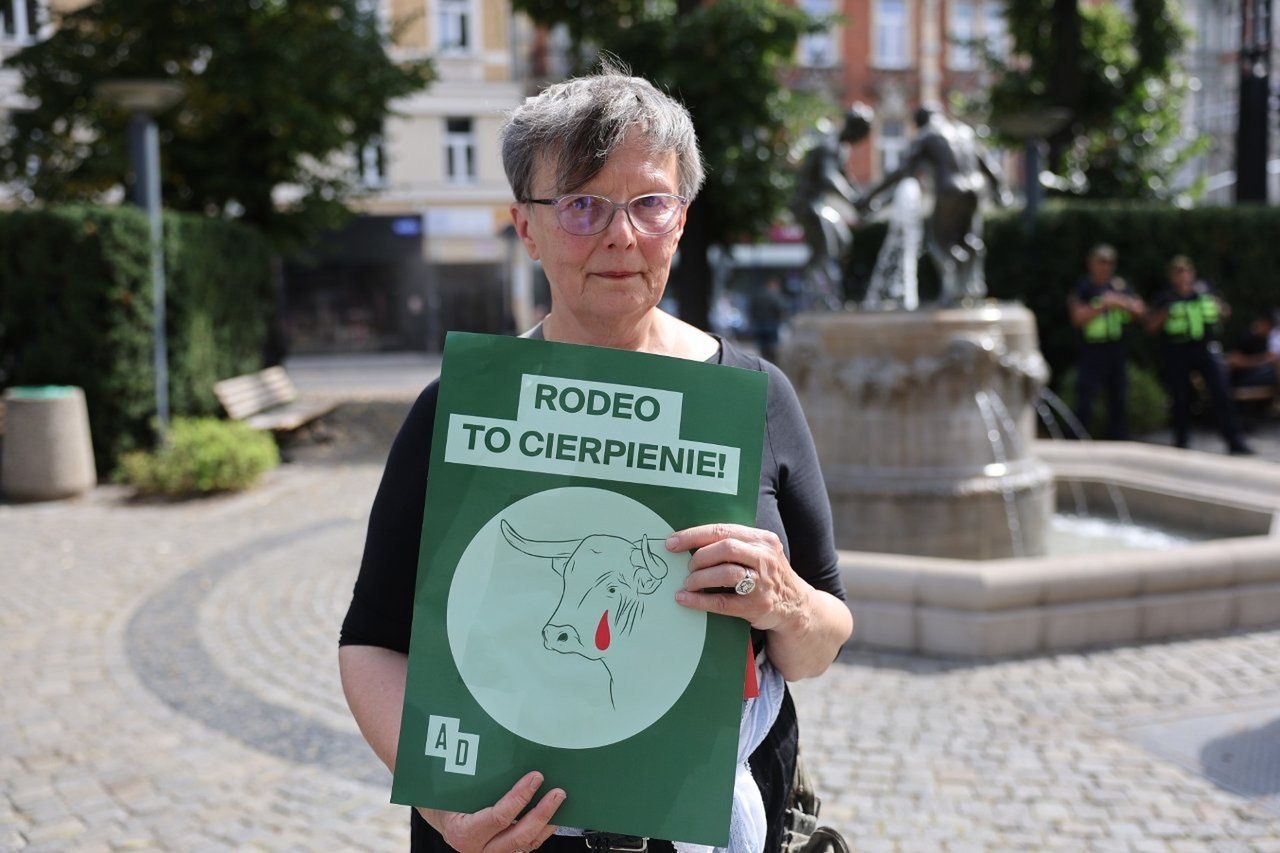 Gliwice nie pozwoliły na organizację rodeo. Organizator zapowiada teraz walkę w sądach: