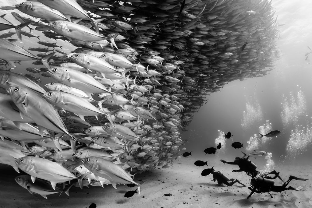 Prezentujemy najlepsze prace Neutral Density Photography Awards 2015 17