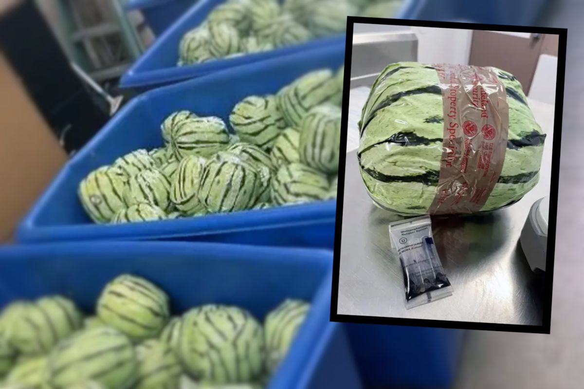 Meth disguised as watermelons seized in $5m border bust