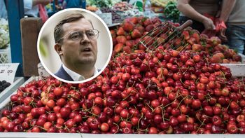 Oszustwa przy czereśniach. Minister reaguje na doniesienia z rynku