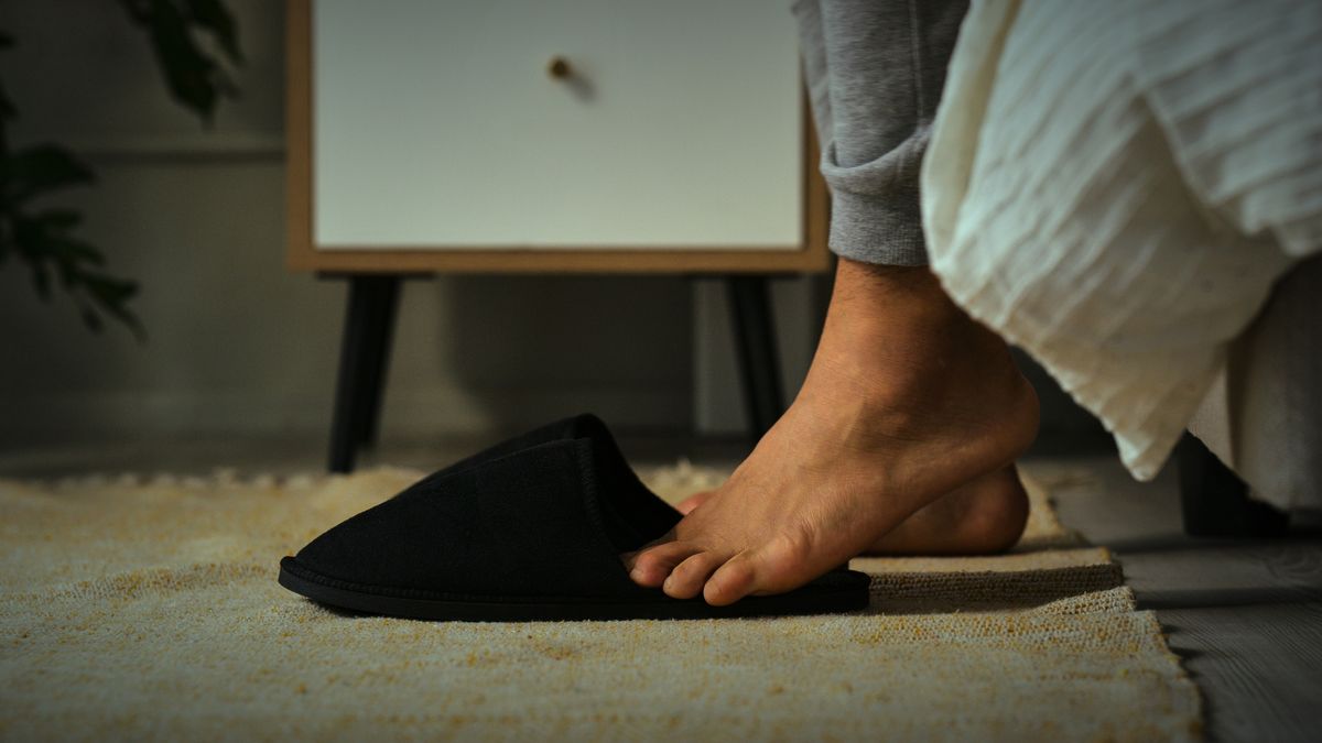 Slippers, morning and feet of person by bed for routine to start day, getting ready and wake up. Floor, home and closeup of comfortable, warm and soft shoes in bedroom for walking in apartment
Slippers, morning and feet of person by bed for routine to start day, getting ready and wake up. Floor, home and closeup of comfortable, warm and soft shoes in bedroom for walking in apartment
DMP