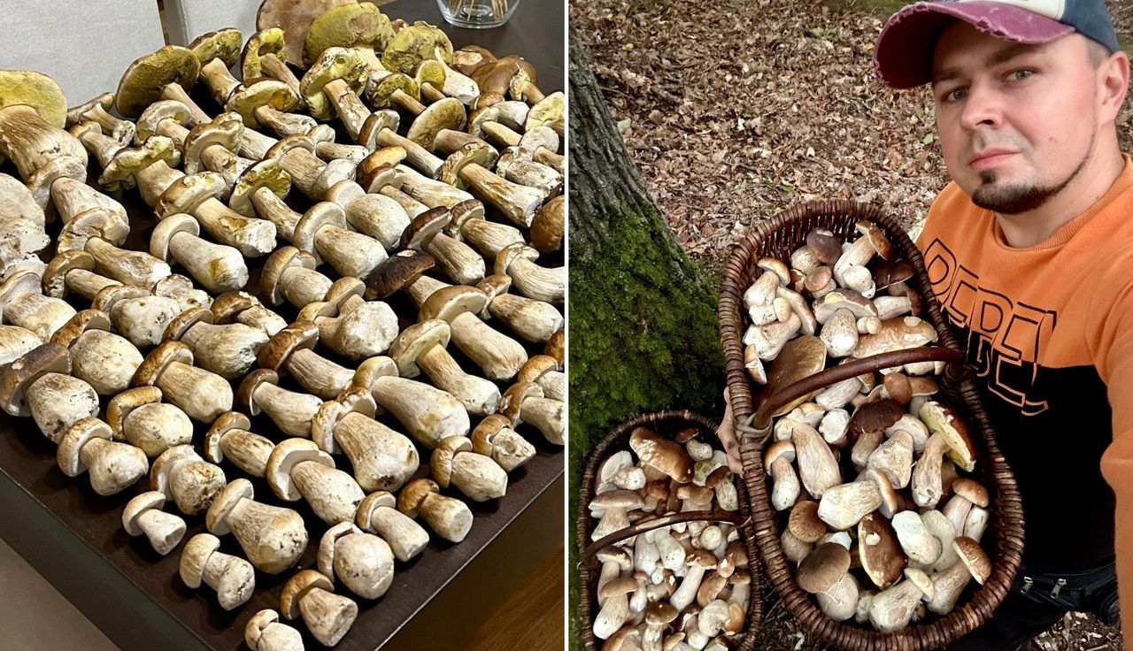 Ponad 6 godzin w lesie. Ludzie przecierają oczy. "Zazdroszczę"